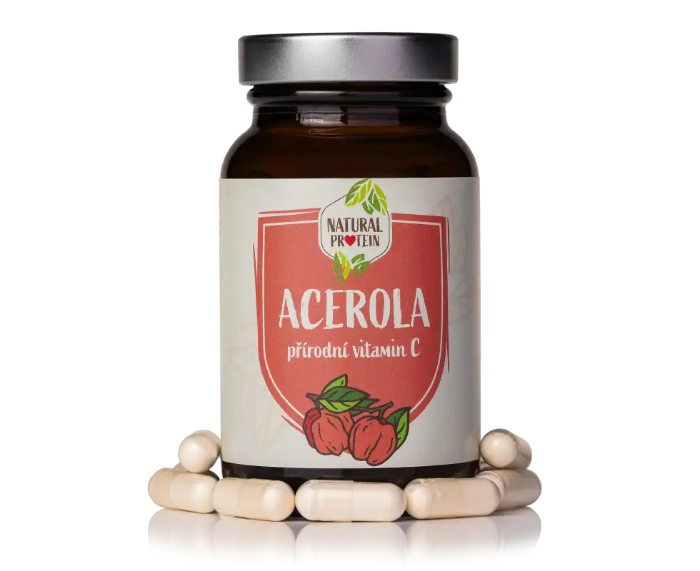 Acerola 1 kus