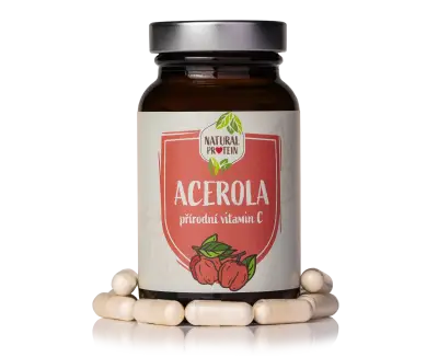 Acerola 1 kus